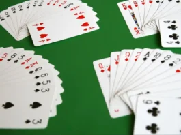 Discover the Thrill of Online Bridge with Bridge Champ Online Bridge