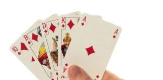 From Casual Player to Confident Competitor — Bridge Tournaments Made Simple Bridge Tournaments