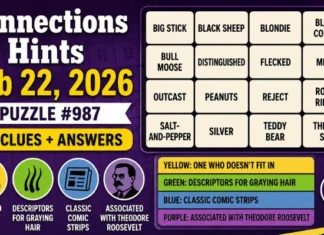 Connections Hints Feb 22, 2026: Puzzle #987 Clues, Answers, Categories, Tricky Words, and Complete Solution Guide Connections Hints Feb 22